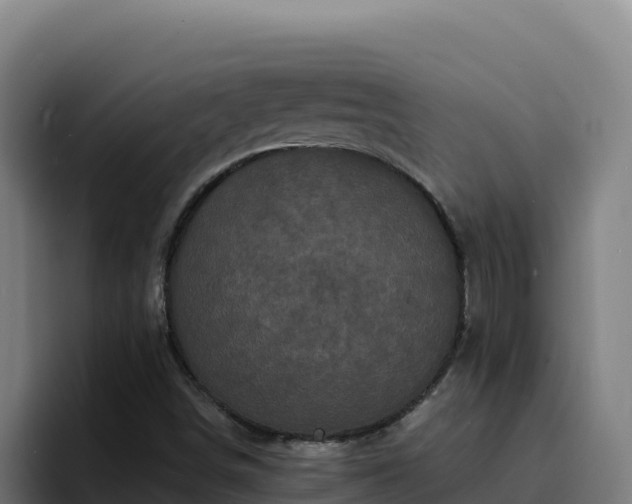 X0000094961498200712061301