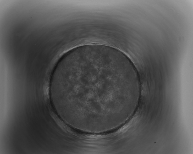 X0000094961499200712061301