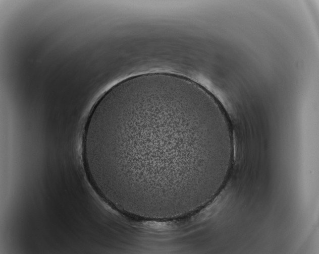 X0000094961500200712061301