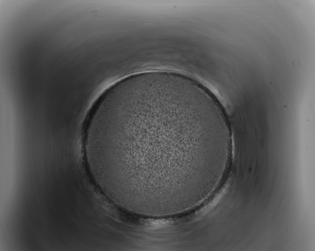 X0000094961501200712061301