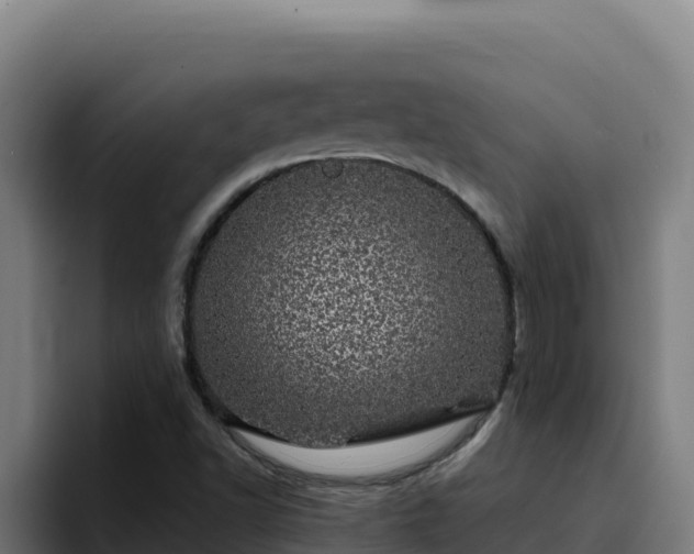 X0000094961502200712061301