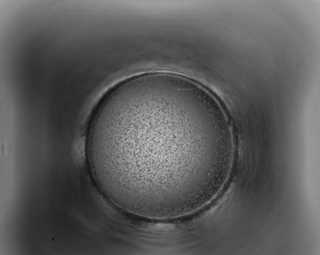 X0000094961503200712061301