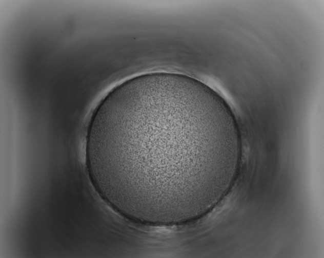 X0000094961504200712061301