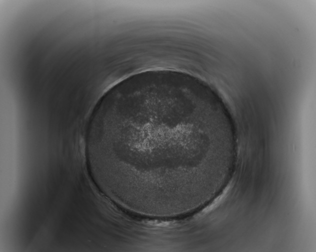 X0000094961505200712061301