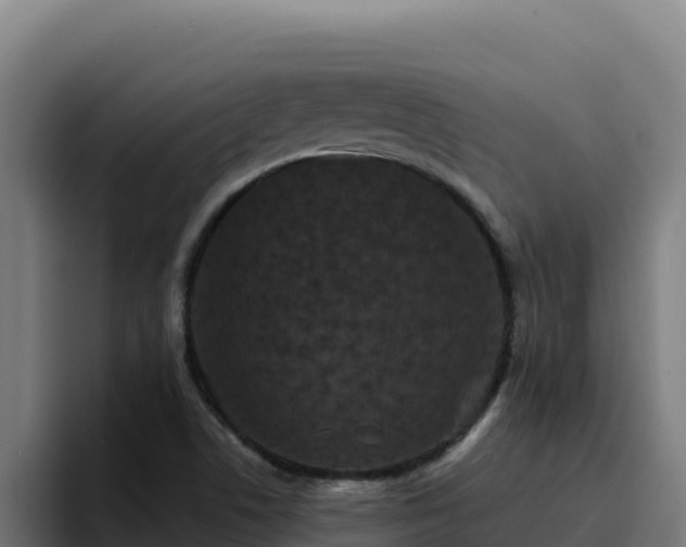 X0000094961506200712061301