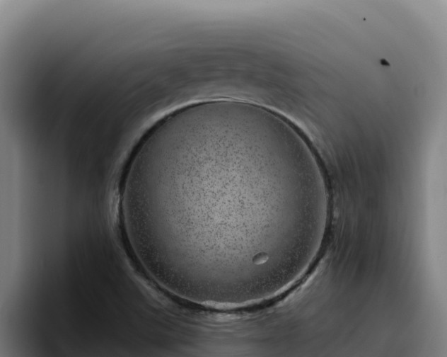 X0000094961507200712061301