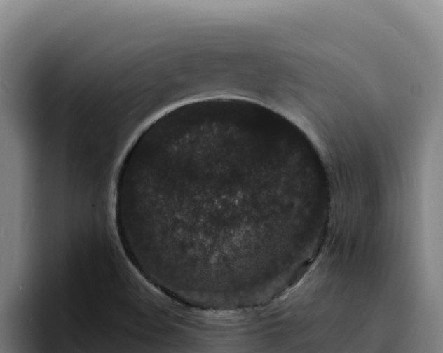 X0000094961508200712061301