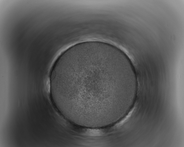 X0000094961509200712061301