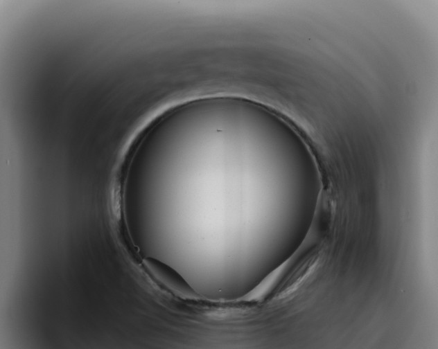 X0000094961510200712061301