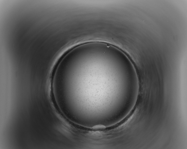 X0000094961511200712061301