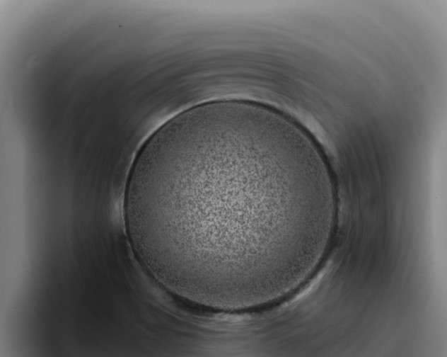 X0000094961513200712061301