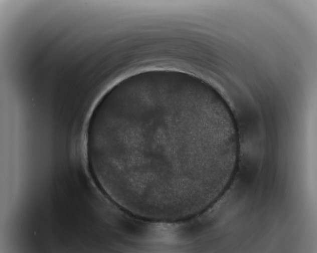 X0000094961514200712061301