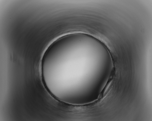 X0000094961516200712061301