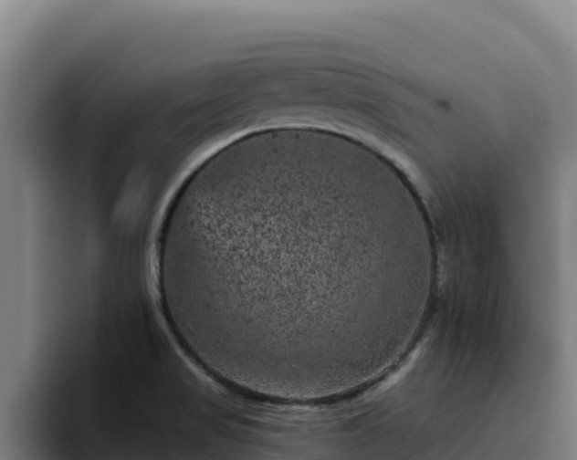 X0000094961517200712061301