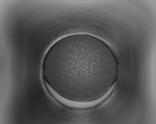 X0000094961518200712061301