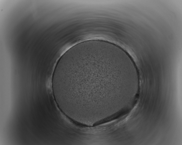 X0000094961521200712061301