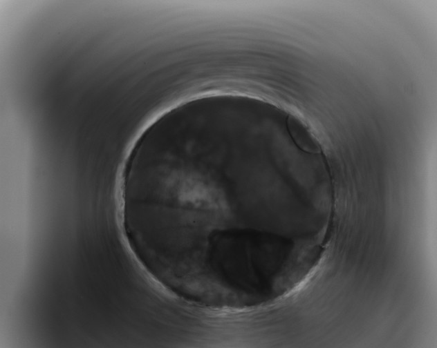 X0000094961522200712061301