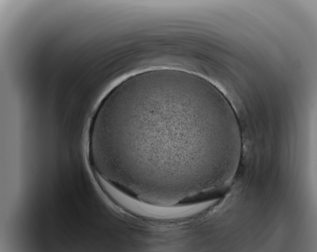 X0000094961523200712061301