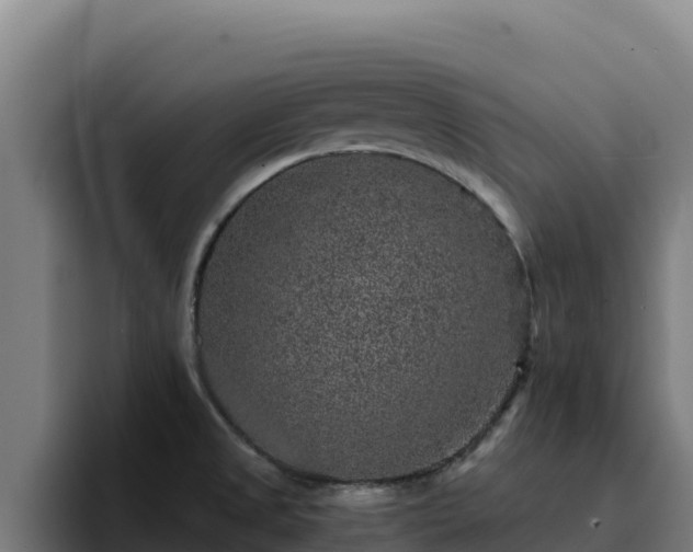 X0000094961525200712061301