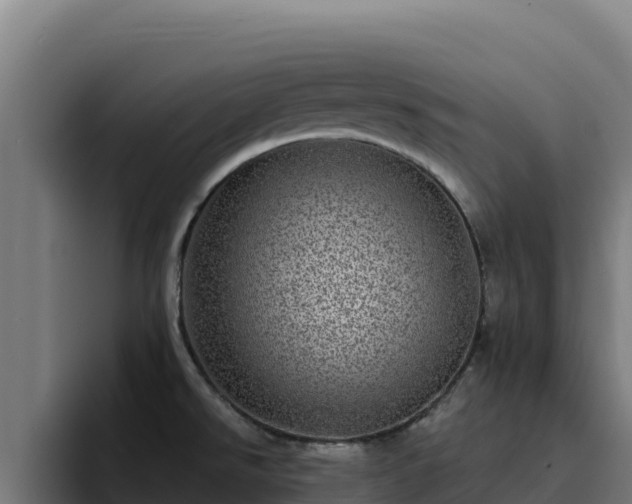 X0000094961526200712061301