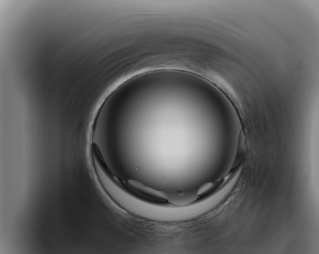 X0000094961528200712061301