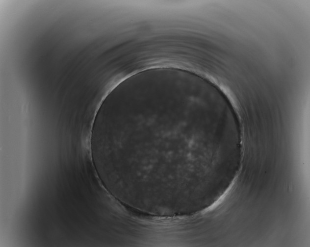 X0000094961529200712061301