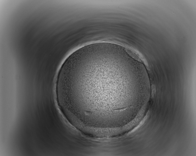 X0000094961530200712061301