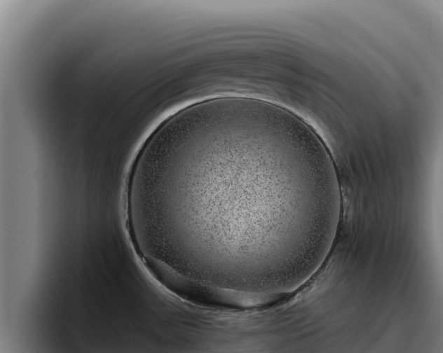 X0000094961531200712061301