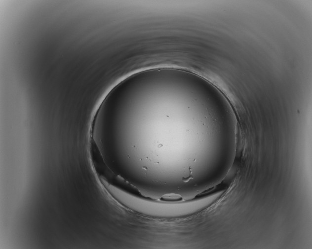 X0000094961532200712061301