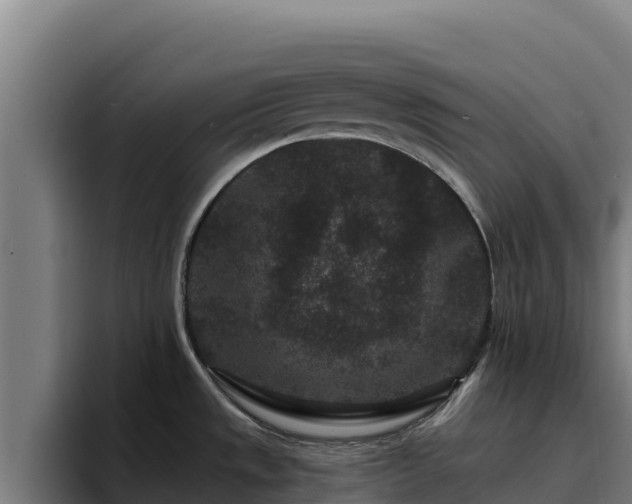 X0000094961533200712061301