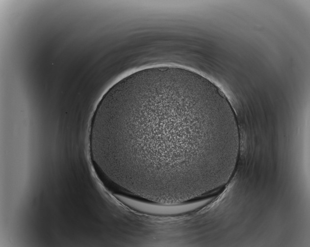 X0000094961534200712061301