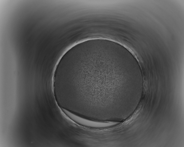 X0000094961535200712061301