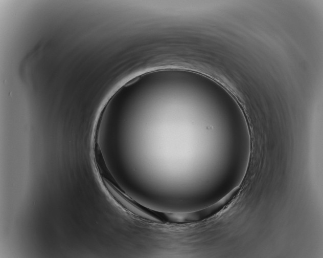 X0000094961536200712061301