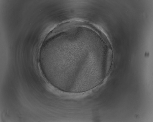 X0000094960001200712131655