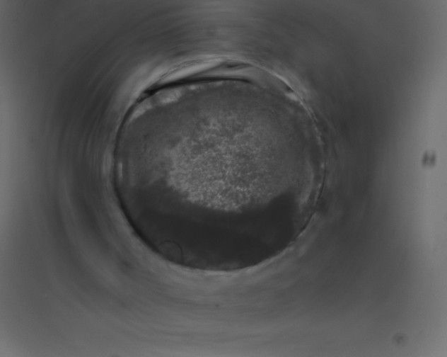 X0000094960002200712131655