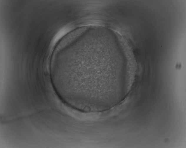 X0000094960004200712131655