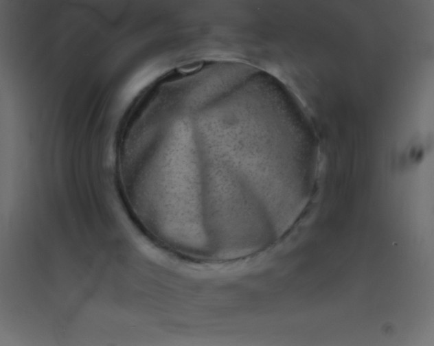 X0000094960005200712131655