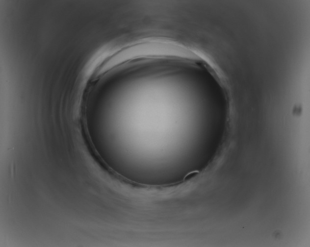 X0000094960007200712131655