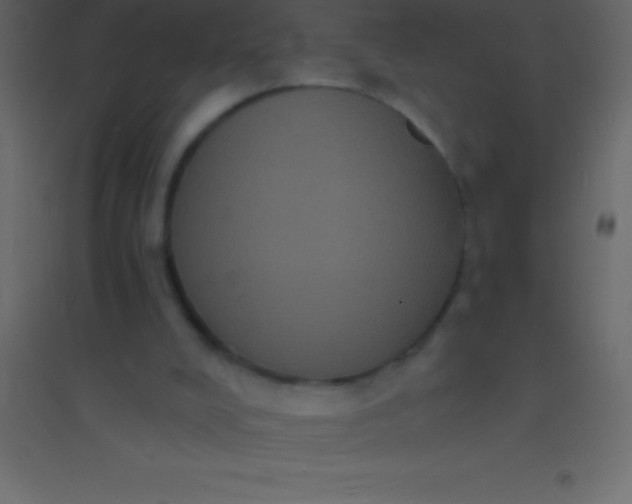 X0000094960008200712131655