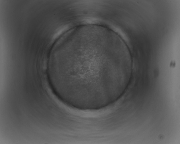 X0000094960010200712131655