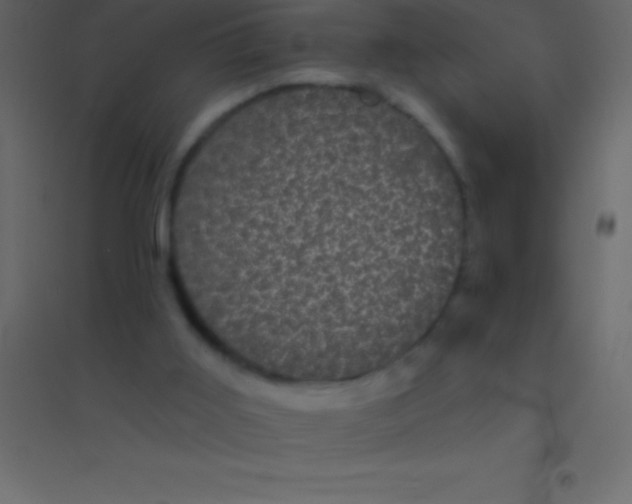 X0000094960011200712131655