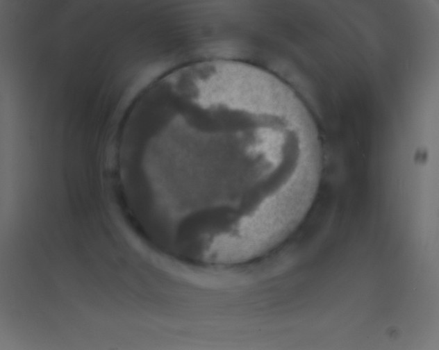 X0000094960012200712131655