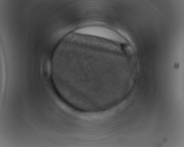 X0000094960013200712131655