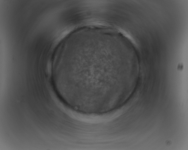 X0000094960014200712131655