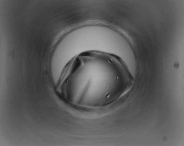 X0000094960015200712131655