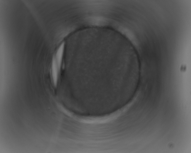 X0000094960017200712131655