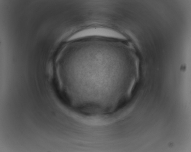 X0000094960020200712131655