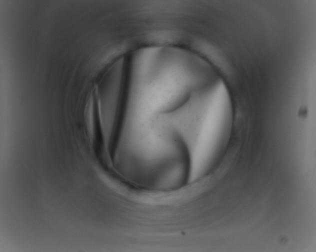 X0000094960021200712131655