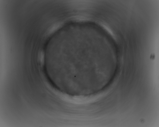 X0000094960022200712131655