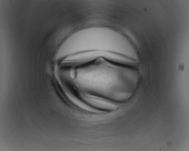 X0000094960023200712131655